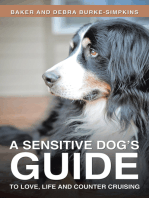 A Sensitive Dog's Guide to Love, Life and Counter Cruising