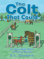 The Colt That Could: A Horse with Show Jumping Dreams.