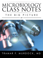 Microbiology Class Notes: The Big Picture