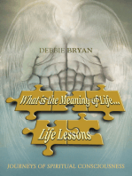 What Is the Meaning of Life... Life Lessons