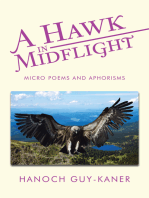 A Hawk in Midflight