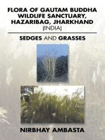 Flora of Gautam Buddha Wildlife Sanctuary, Hazaribag, Jharkhand (India): Sedges and Grasses