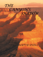 The Canyon’S Shadow