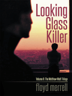 Looking Glass Killer: Volume Ii: the Matthew-Matt Trilogy