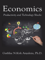 Economics: Productivity and Technology Shocks