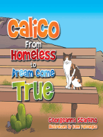 Calico