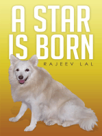 A Star Is Born