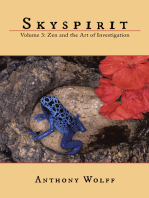 Skyspirit: Volume 3: Zen and the Art of Investigation