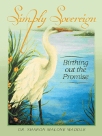 Simply Sovereign: Birthing out the Promise