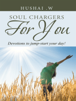 Soul Chargers for You