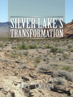 Silver Lake’S Transformation