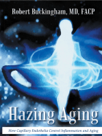 Hazing Aging: How Capillary Endothelia Control Inflammation and Aging