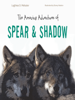 The Amazing Adventures of Spear & Shadow