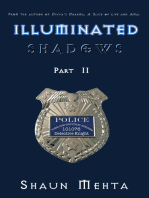 Illuminated Shadows