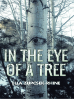 In the Eye of a Tree