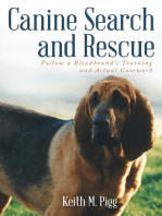 Canine Search and Rescue: Follow a Bloodhound’S Training and Actual Case Work