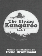The Flying Kangaroo: Book 2