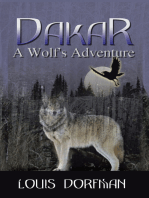 Dakar, a Wolf's Adventure