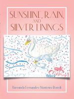 Sunshine, Rain, and Silver Linings