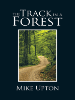 The Track in a Forest