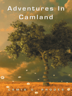 Adventures in Camland