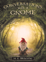 Conversations with a Gnome