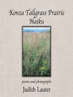 Konza Tallgrass Prairie Haiku