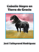 Caballo Negro En Tierra De Gracia