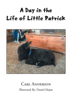 A Day in the Life of Little Patrick