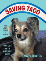 Saving Taco: From Life with a Hoarder/ Breeder