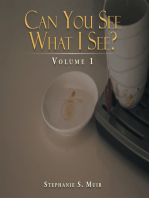 Can You See What I See?: Volume 1