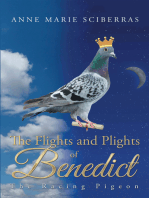 The Flights and Plights of Benedict: The Racing Pigeon