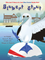 Blubert Strut: Who Am I? Story of a Lost Blue Footed Booby Bird