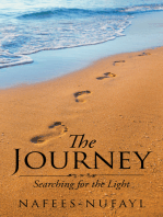 The Journey: Searching for the Light