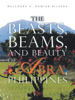 The Beasts, Beams, and Beauty of Abra, Philippines