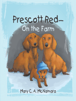 Prescott Red—On the Farm