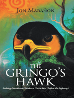The Gringo’s Hawk: Seeking Paradise in Southern Costa Rica (Before the Highway)