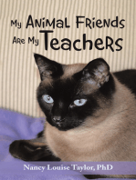 My Animal Friends Are My Teachers