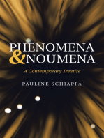 Phenomena & Noumena: A Contemporary Treatise