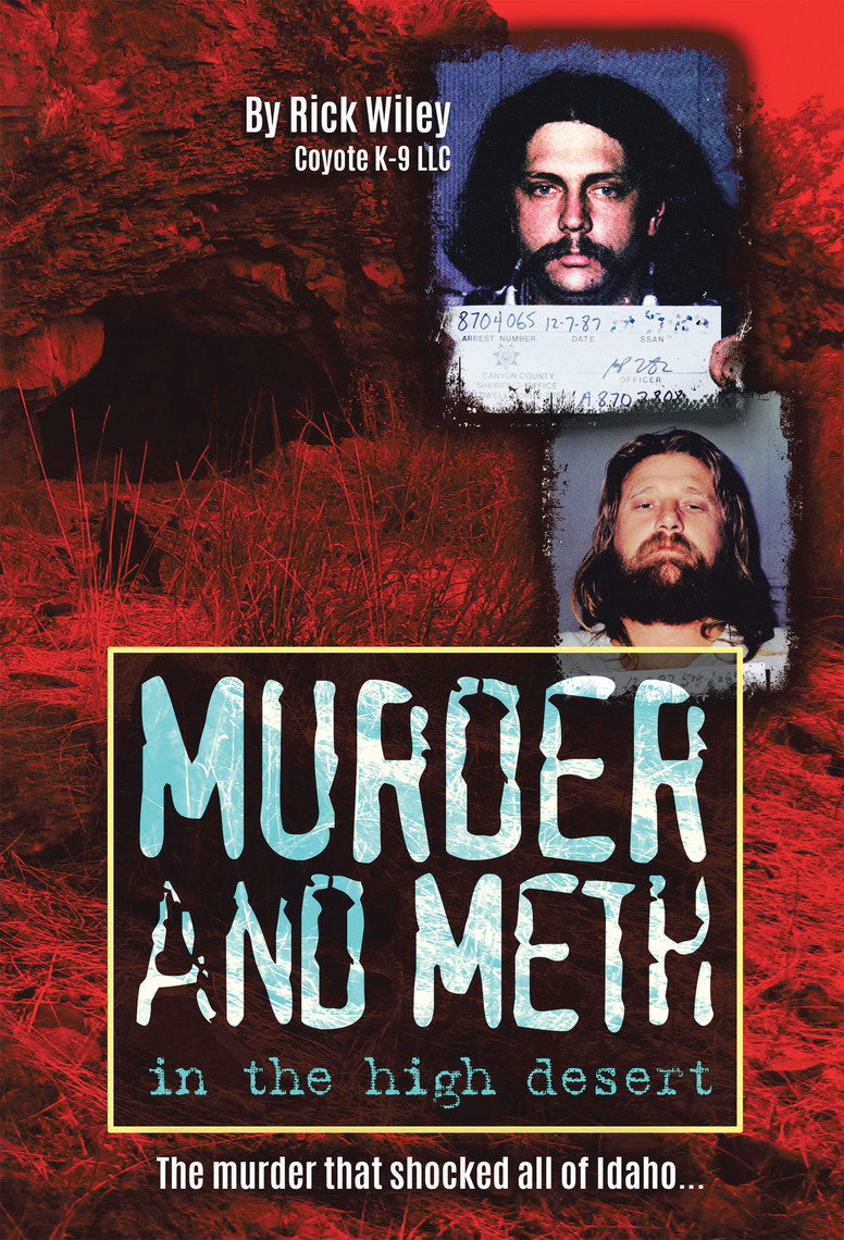 Murder and Meth in the High Desert by Rick Wiley image