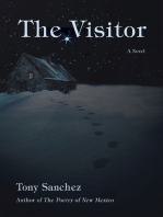 The Visitor