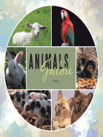 Animals Galore
