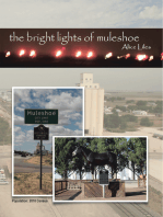 The Bright Lights of Muleshoe