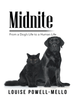 Midnite: From a Dog’s Life to a Human Life