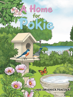 A Home for Pokie