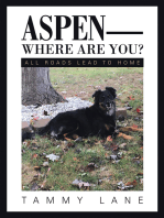 Aspen—Where Are You?: All Roads Lead to Home