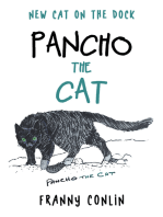 Pancho the Cat: New Cat on the Dock