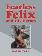 Fearless Felix and His Heroes