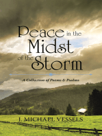 Peace in the Midst of the Storm