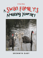 A Swan Family’s Amazing Journey: A True Story